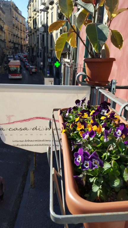 A Casa di Mamma