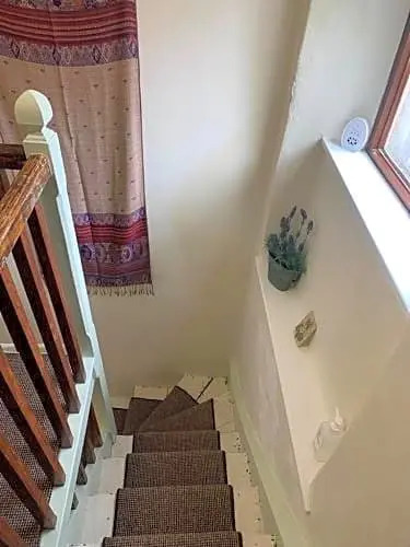 The Old House