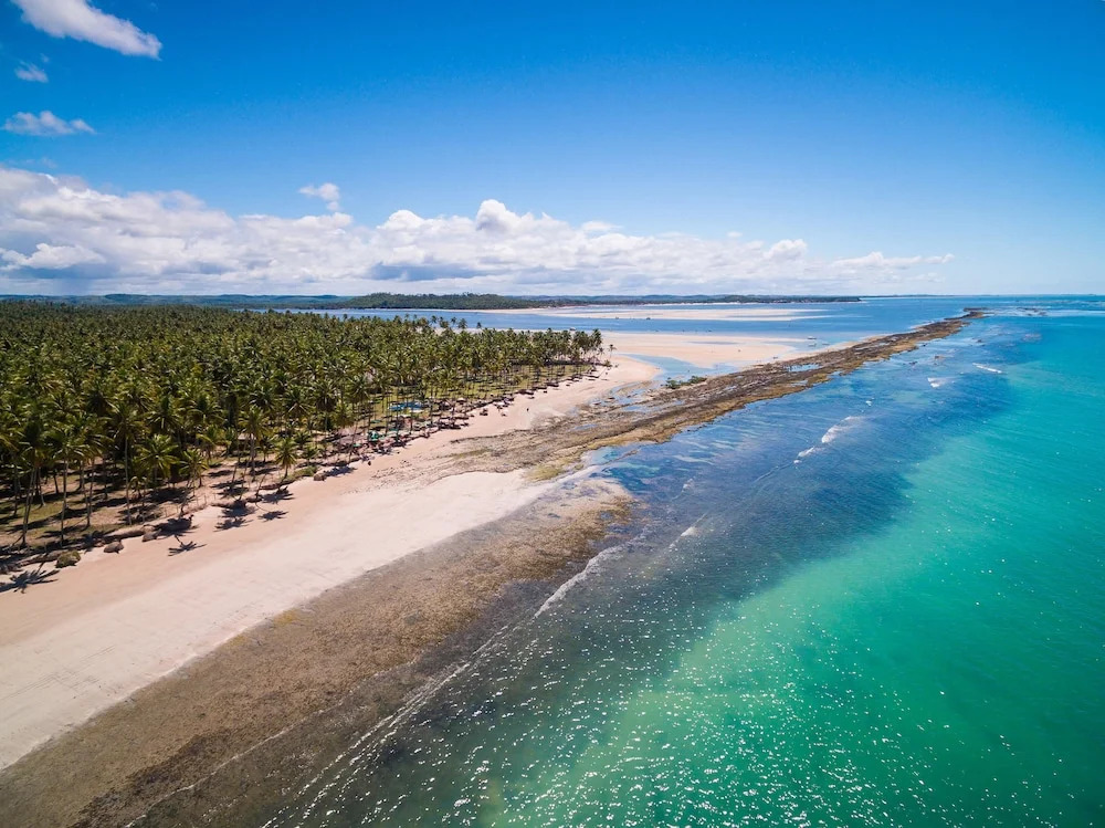 Carneiros Beach Resort - Paraíso Beira Mar