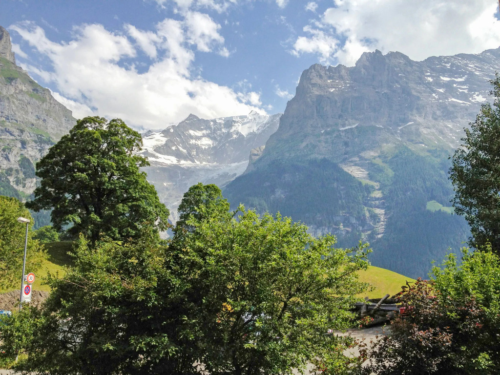 Chalet Bergfink