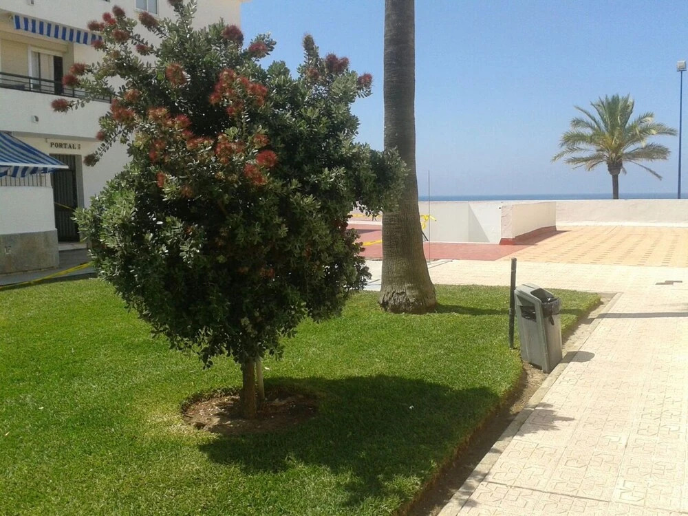 Apartment With 2 Bedrooms in Chiclana de la Frontera, With Wonderful s