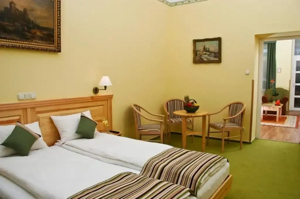 Hotel Manzard Panzio