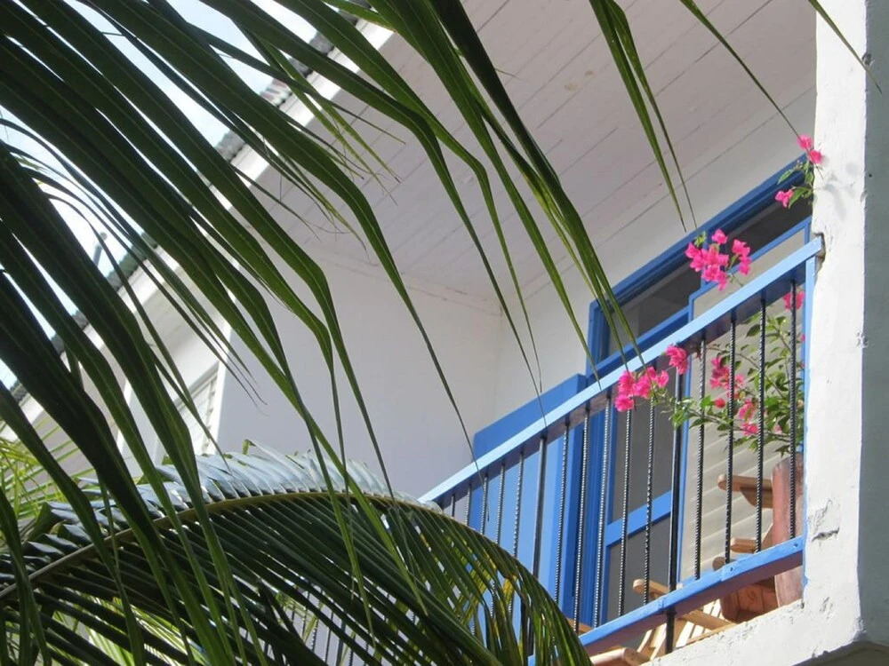 El Coco Azul