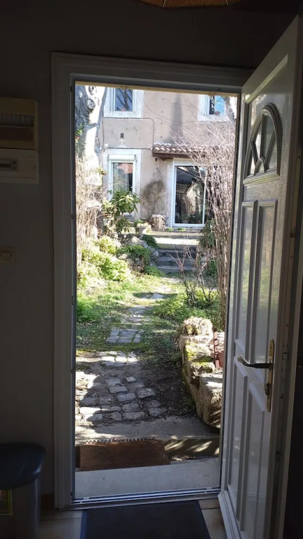 Les Micocouliers