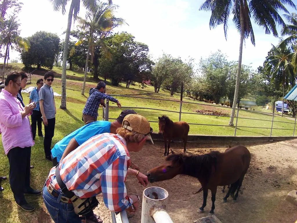 MTFF Farm Stay