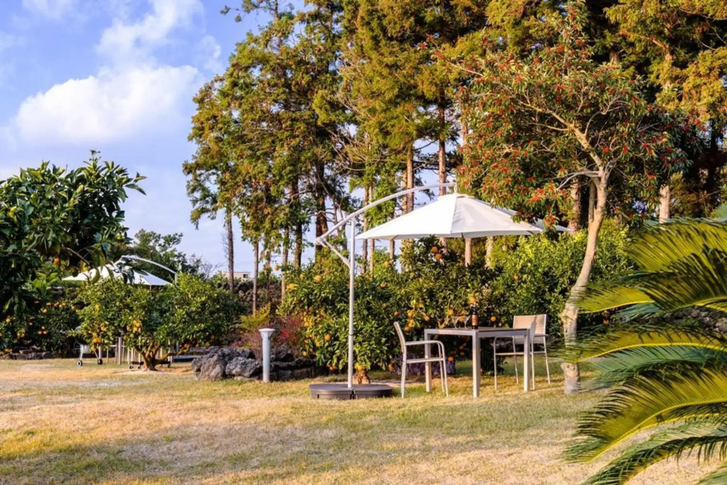 Jeju Patio Aewol