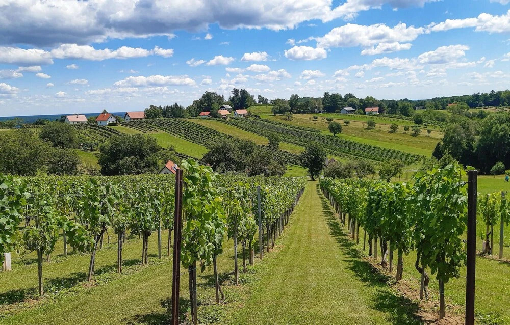 Ferienhaus Im Suedburgenland