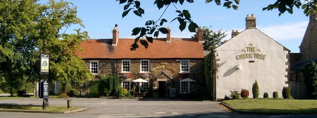 The Tree House
