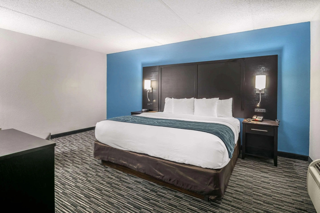 Comfort Inn Gainesville - University Area