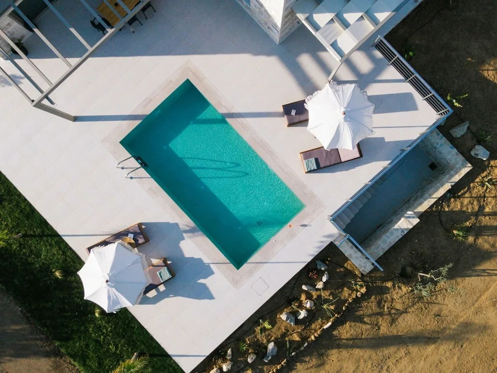Ramo dolivo Villa