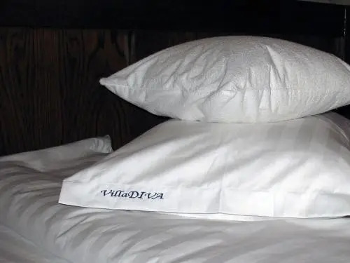 Villa Diva