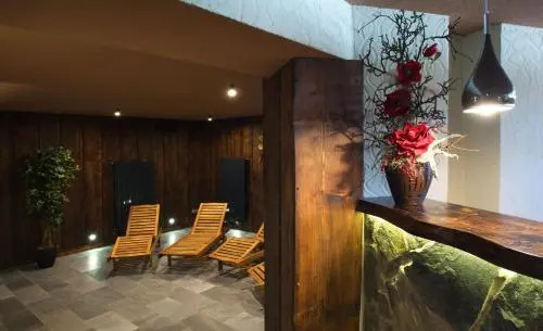Hotel Lesana