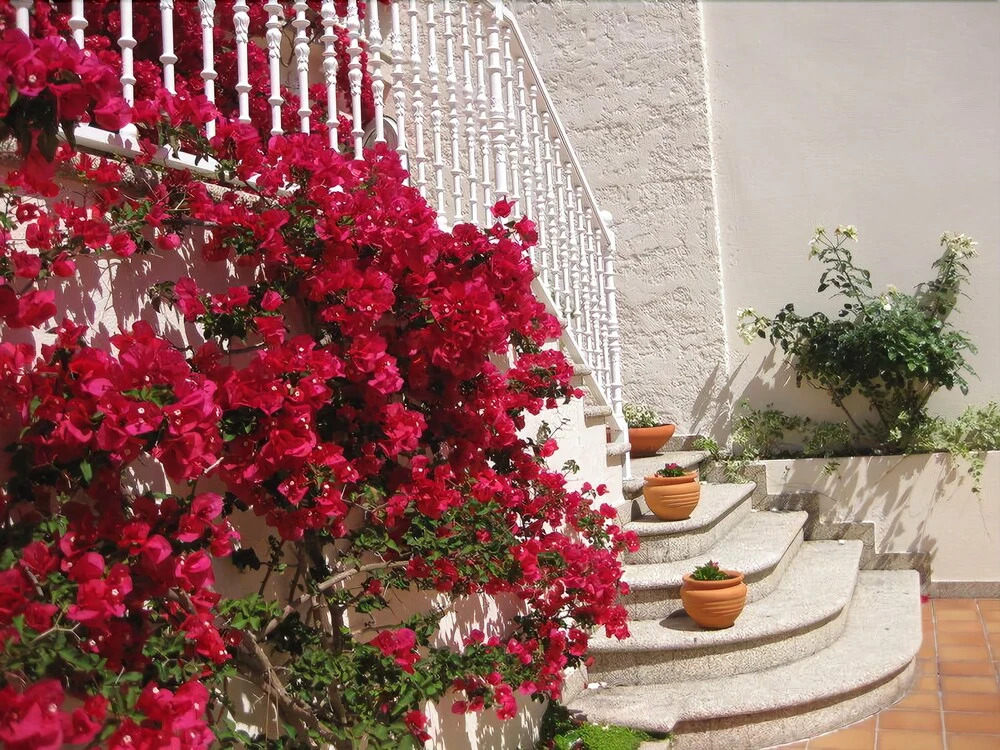 Apartamentos Maritimo Suites-Solo Adultos