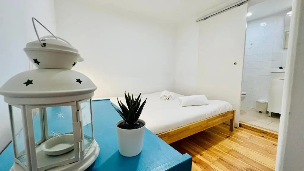 Amalia Studios