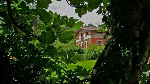 Labeondo