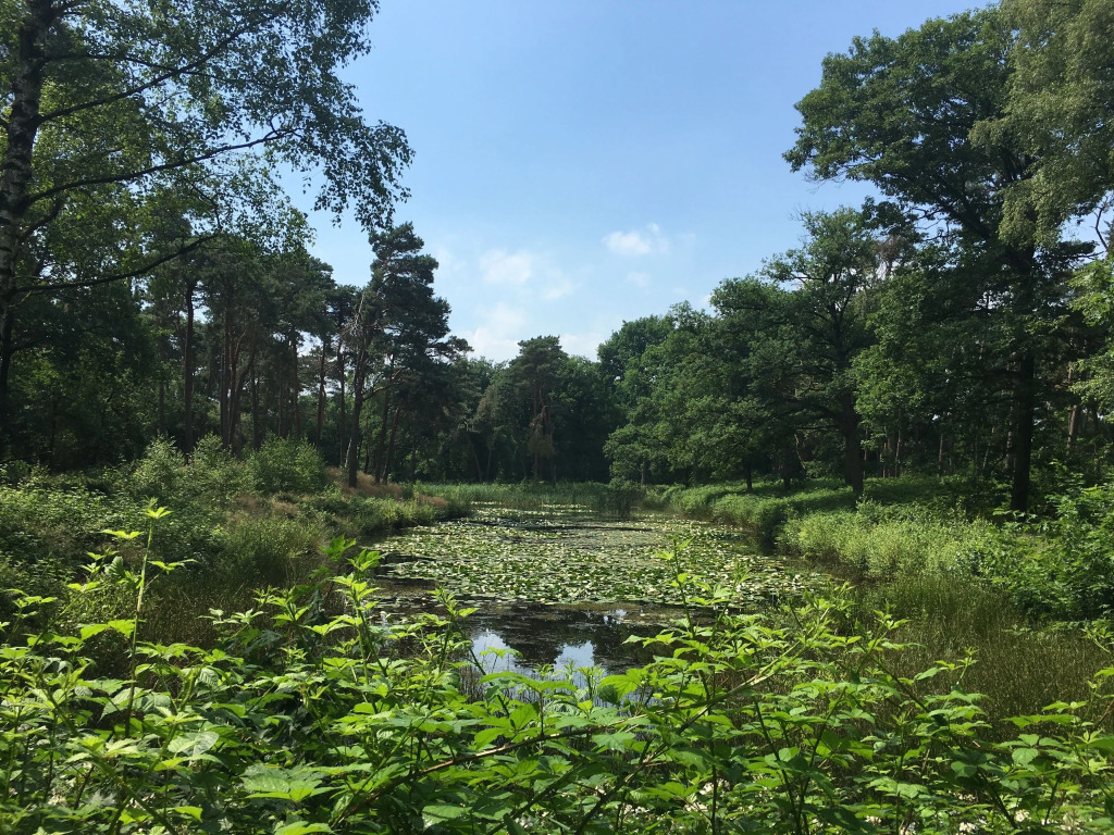 Hotel Kapellerput Heeze-Eindhoven