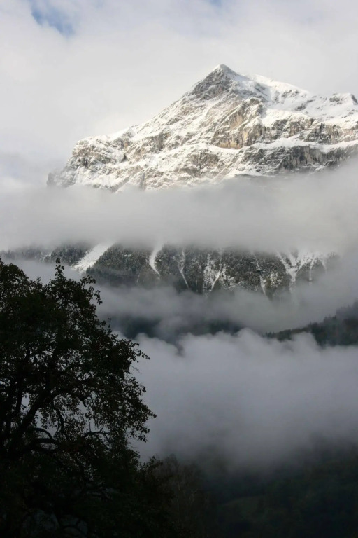 Le Relais Du Mont Blanc Magland