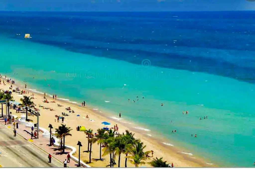 JUNGLE TO BEACH 4 R 3 BR Family and Pet Heated pool N Airport N Beach N Hard Rock