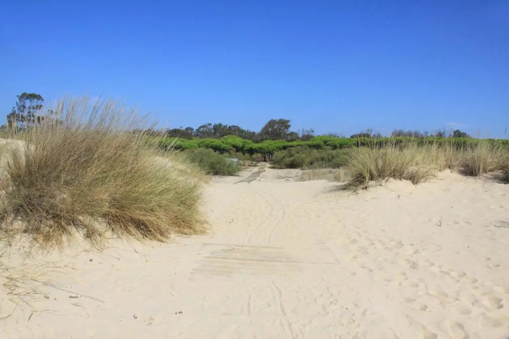 Camping Playa Taray