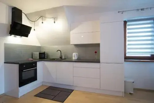 Apartament Alex