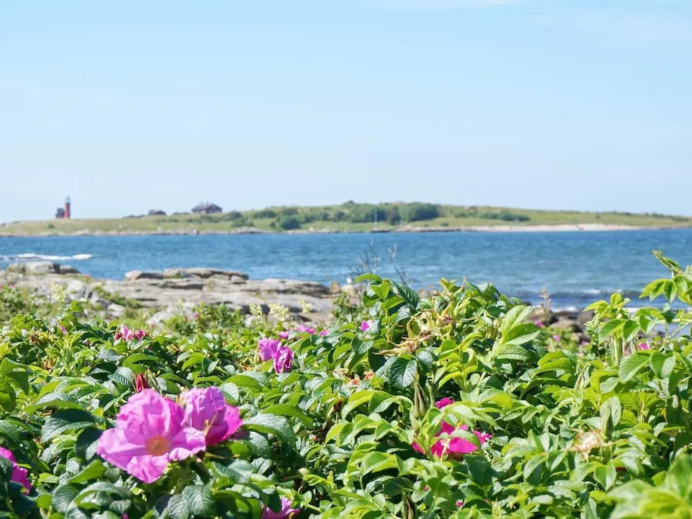 4 Person Holiday Home in Halmstad