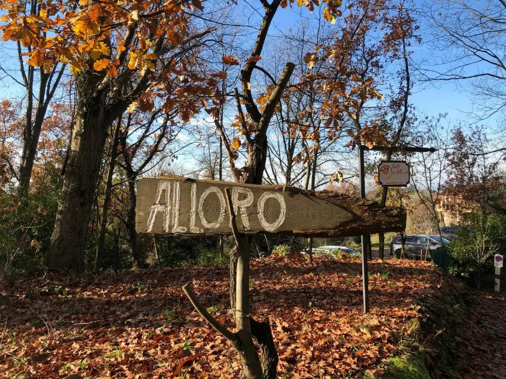 B&B Alloro