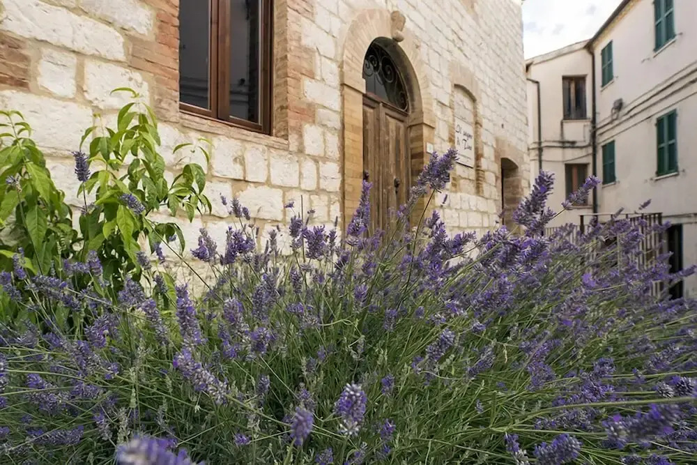 il sogno di Tino