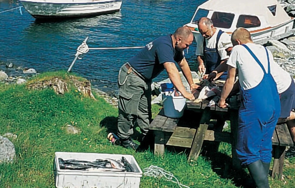 Sjøidyll