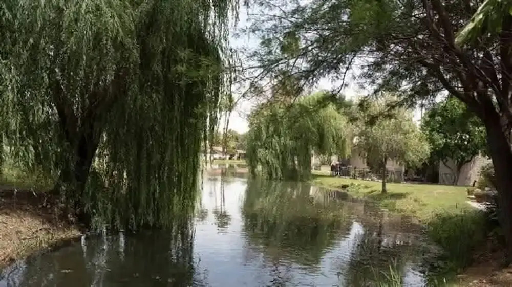 Lakeside Golf Course Retreat in Cathedral City