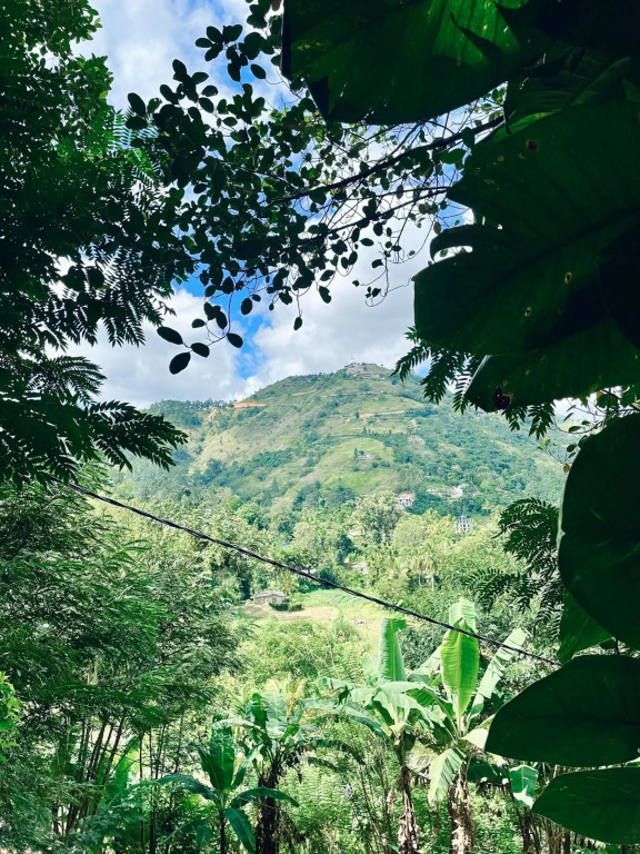 Secret Mountain Paradise