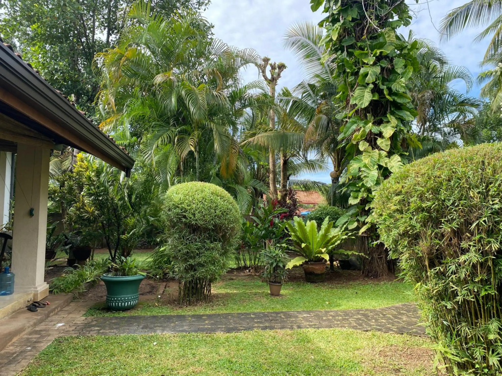 Tangalle Green House