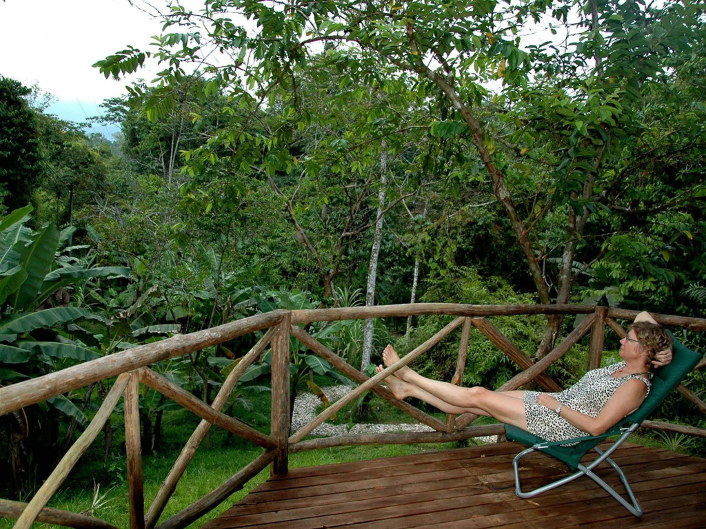 Hotel La Gamba Rainforest Lodge
