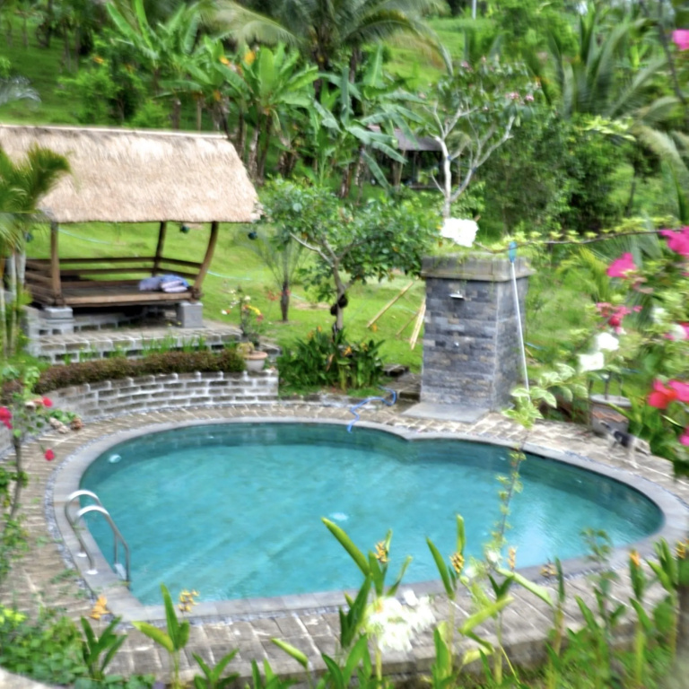 Bali Lush