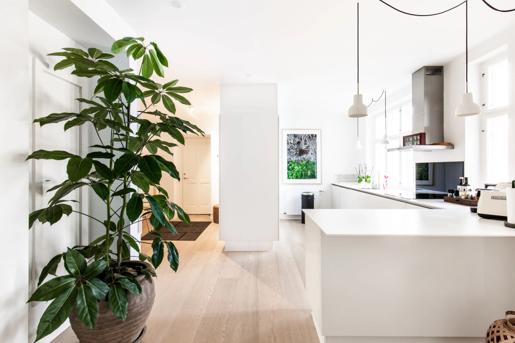 Dinesen Collection Luxury Condos By Royal Danish Theatre