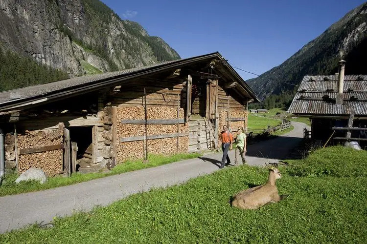 Peaceful Apartment in Mayrhofen with Terrace