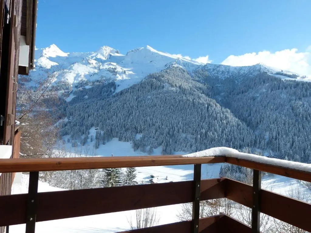Appartement La Clusaz, 2 pièces, 6 personnes - FR-1-304-240