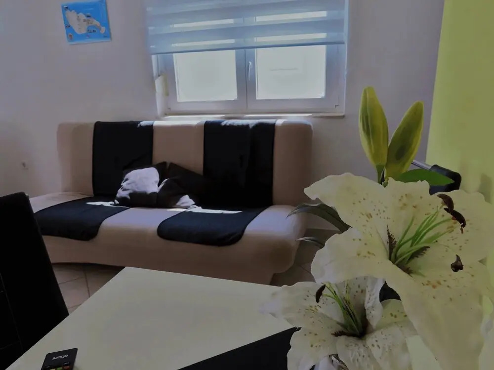 Apartments Maric