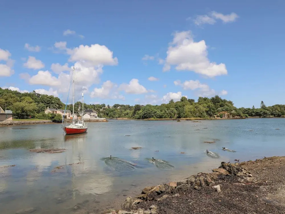 Ynys Faelog