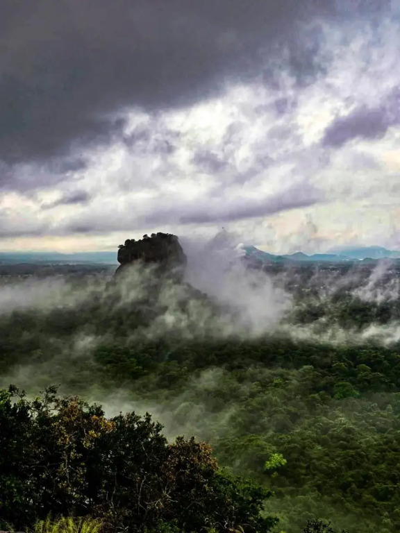 The Rock View Homestay Sigiriya