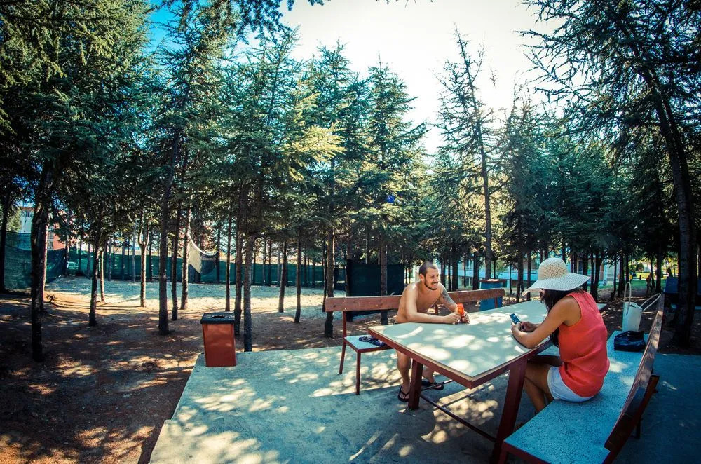 Grand Resort - Sea Viev and Premium Apartments