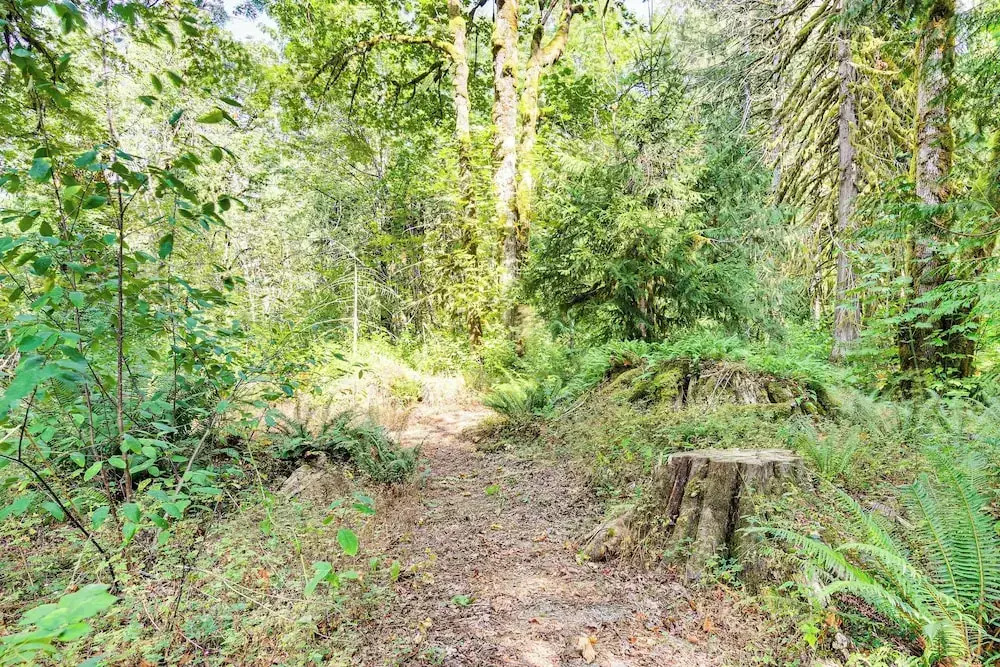 Walk to Skykomish River: Wooded Escape w/ Fire Pit