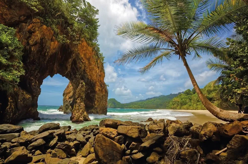 The Cannons of Trinidad and Tobago, W.I. - Arima