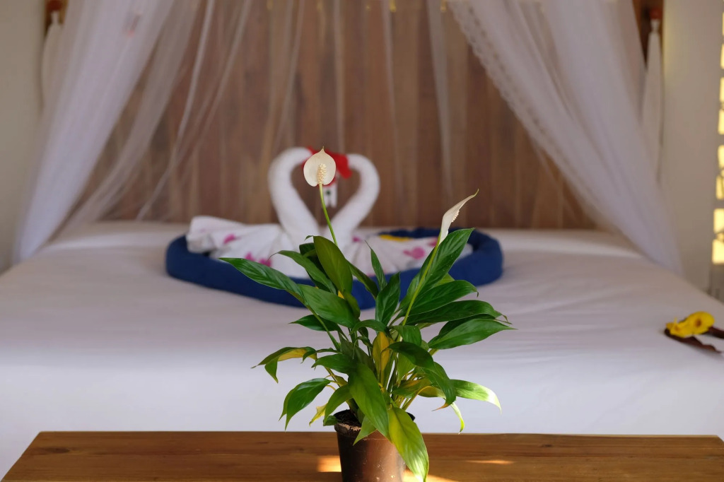 Phu Quoc EcoLodge