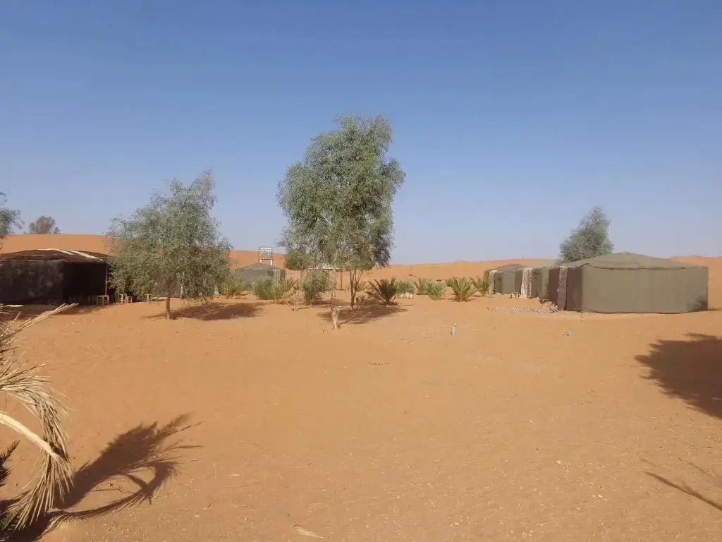 Camel Trek Bivouac