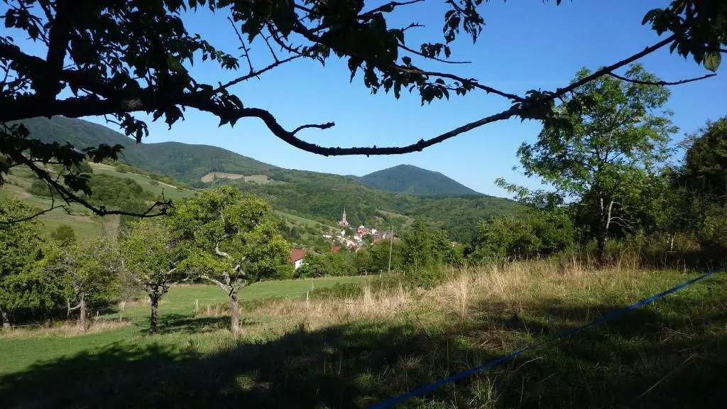 Gîte Schlitteur Et Sapiniere