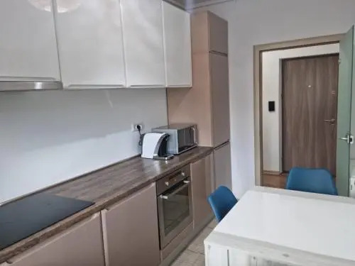 Sasu Apartment