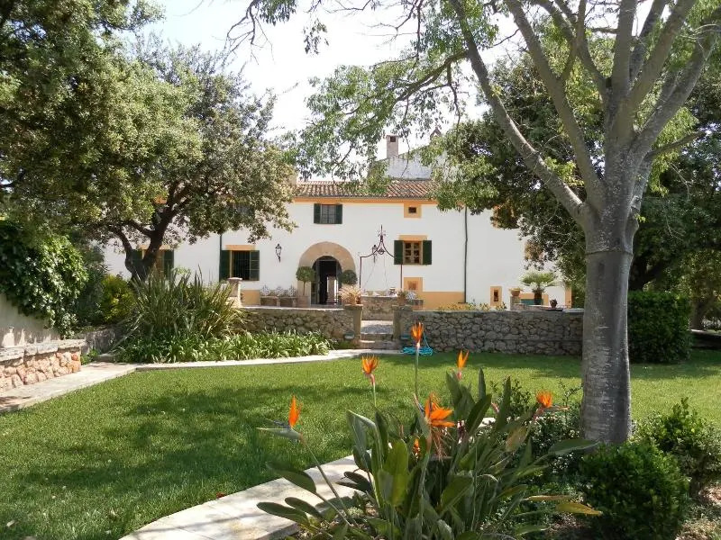 Finca Llenaire