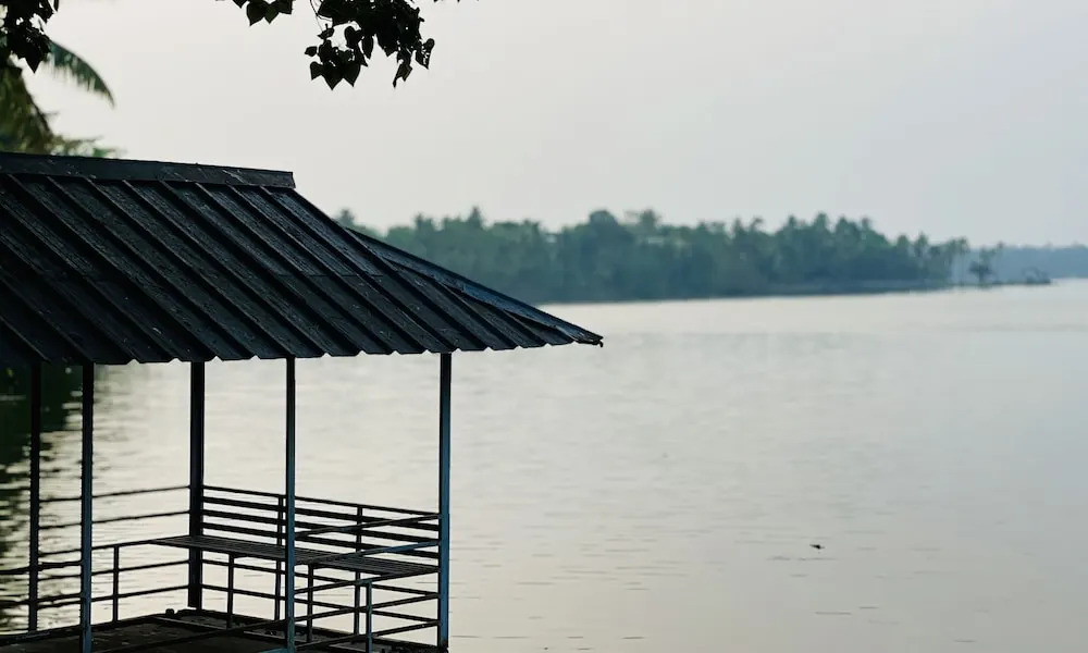 WaterFront by PALMYRA