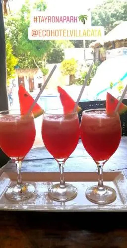 Hostal Villa Cata
