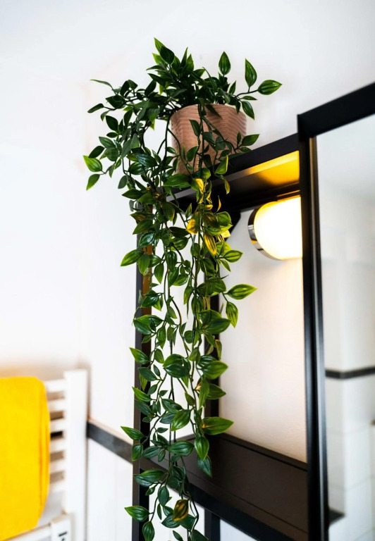 Spacious Apartment in urban location